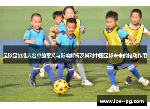 足球足协准入名单的意义与影响解析及其对中国足球未来的推动作用